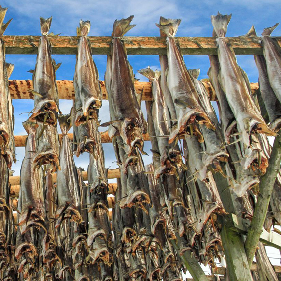 Stockfisch – Drei gute&nbsp;Gründe