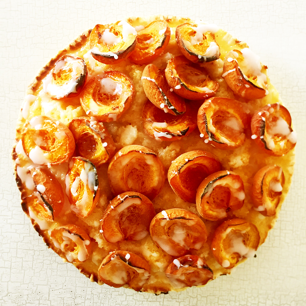 Aprikosenkuchen